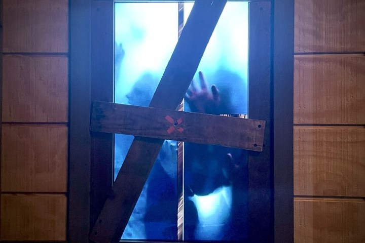 a person standing in front of a window