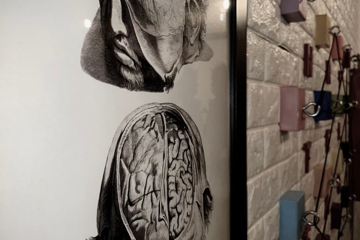 Framed anatomical brain illustration on brick wall beside colorful geometric blocks.