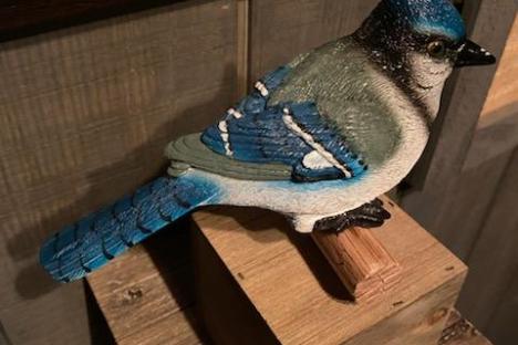a cat sitting on top of a wooden table