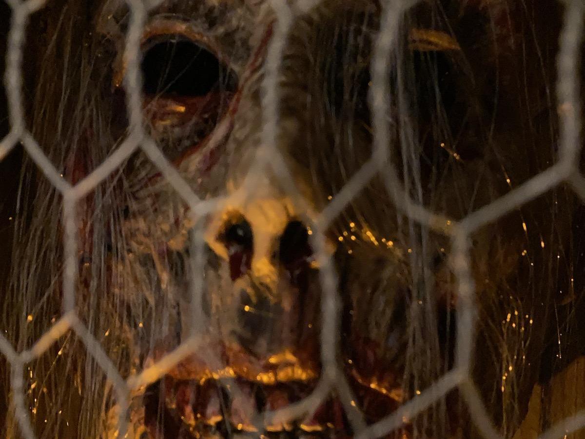 a close up of a wire fence