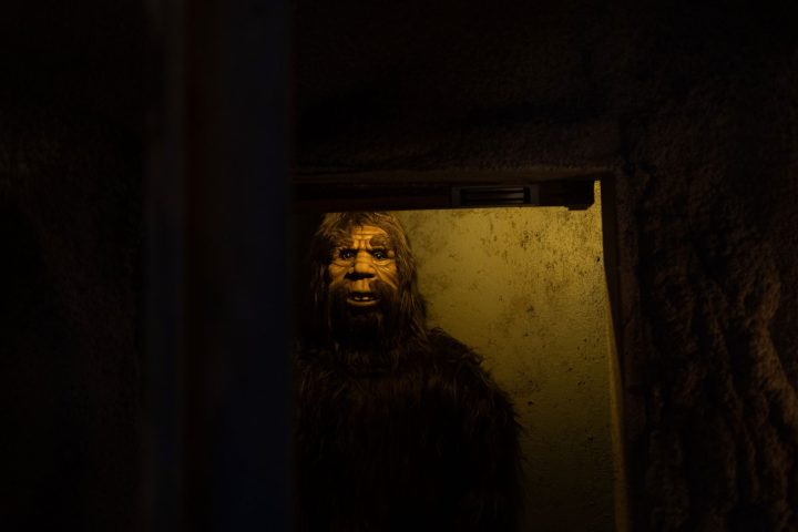 a cat sitting in a dark room