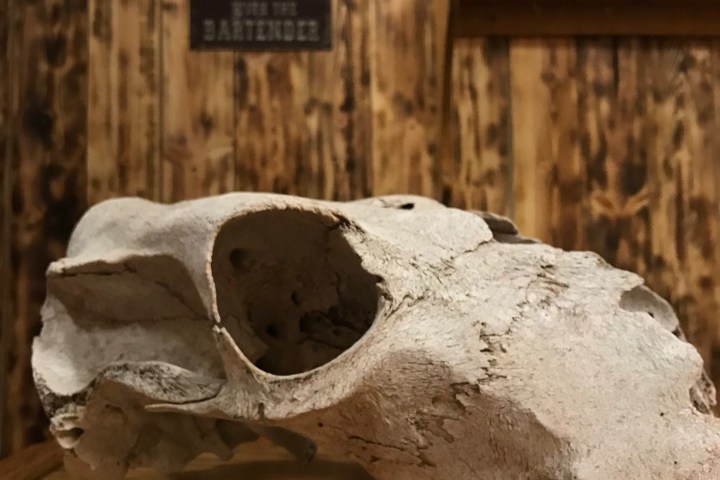 a close up of a rock