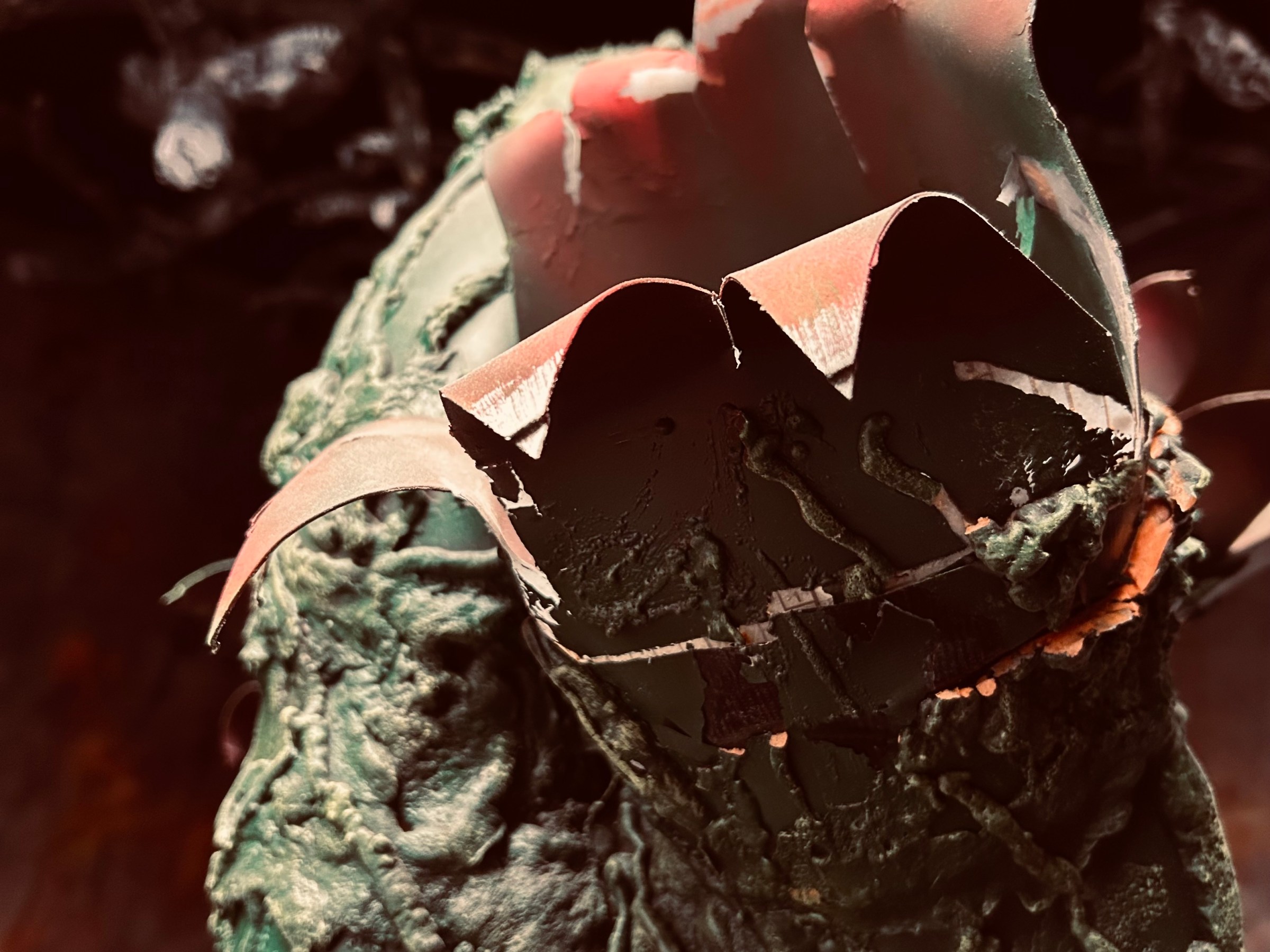 a person holding a flower