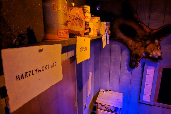Dimly lit room with canned goods on shelves and animal fur hanging on wall.