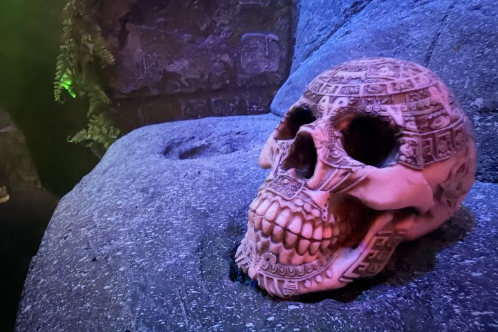 Ornate skull on stone slab with blue lighting and engraved wall in background.