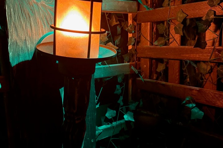 Wall-mounted lantern illuminates ivy-covered wooden lattice.