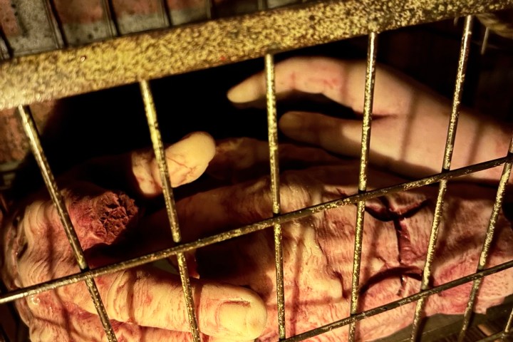 Close-up of a hand inside a metal cage with dim lighting.